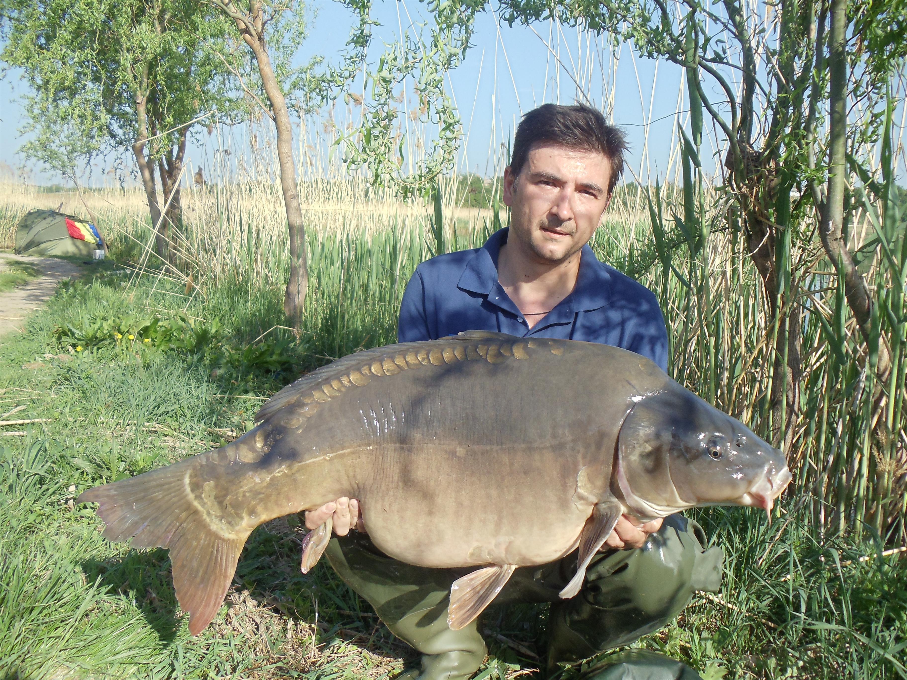 Crapmania 2012 - DSC02915.jpg